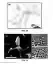 Fig. 12 - Synthesis and processing of novel phase of boron nitride (Q-BN)