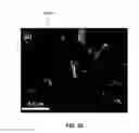 Fig. 13 - Synthesis and processing of novel phase of boron nitride (Q-BN)