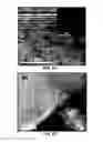 Fig. 17 - Synthesis and processing of novel phase of boron nitride (Q-BN)