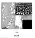 Fig. 20 - Synthesis and processing of novel phase of boron nitride (Q-BN)