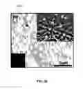 Fig. 22 - Synthesis and processing of novel phase of boron nitride (Q-BN)