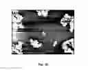 Fig. 28 - Synthesis and processing of novel phase of boron nitride (Q-BN)