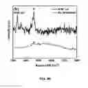 Fig. 29 - Synthesis and processing of novel phase of boron nitride (Q-BN)
