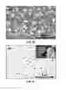 Fig. 42 - Synthesis and processing of novel phase of boron nitride (Q-BN)