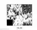 Fig. 43 - Synthesis and processing of novel phase of boron nitride (Q-BN)