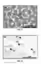 Fig. 07 - DIRECT CONVERSION OF H-BN INTO C-BN AND STRUCTURES FOR A VARIETY OF APPLICATIONS
