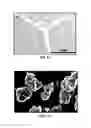 Fig. 10 - DIRECT CONVERSION OF H-BN INTO C-BN AND STRUCTURES FOR A VARIETY OF APPLICATIONS