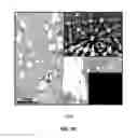 Fig. 20 - DIRECT CONVERSION OF H-BN INTO C-BN AND STRUCTURES FOR A VARIETY OF APPLICATIONS