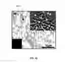 Fig. 22 - DIRECT CONVERSION OF H-BN INTO C-BN AND STRUCTURES FOR A VARIETY OF APPLICATIONS