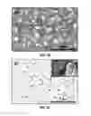Fig. 42 - DIRECT CONVERSION OF H-BN INTO C-BN AND STRUCTURES FOR A VARIETY OF APPLICATIONS