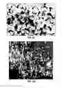 Fig. 45 - DIRECT CONVERSION OF H-BN INTO C-BN AND STRUCTURES FOR A VARIETY OF APPLICATIONS