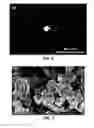 Fig. 06 - CONVERSION OF BORON NITRIDE INTO N-TYPE AND P-TYPE DOPED CUBIC BORON NITRIDE AND STRUCTURES