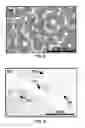 Fig. 07 - CONVERSION OF BORON NITRIDE INTO N-TYPE AND P-TYPE DOPED CUBIC BORON NITRIDE AND STRUCTURES