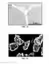 Fig. 10 - CONVERSION OF BORON NITRIDE INTO N-TYPE AND P-TYPE DOPED CUBIC BORON NITRIDE AND STRUCTURES