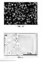 Fig. 11 - CONVERSION OF BORON NITRIDE INTO N-TYPE AND P-TYPE DOPED CUBIC BORON NITRIDE AND STRUCTURES
