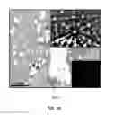 Fig. 20 - CONVERSION OF BORON NITRIDE INTO N-TYPE AND P-TYPE DOPED CUBIC BORON NITRIDE AND STRUCTURES