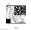 Fig. 22 - CONVERSION OF BORON NITRIDE INTO N-TYPE AND P-TYPE DOPED CUBIC BORON NITRIDE AND STRUCTURES