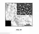 Fig. 24 - CONVERSION OF BORON NITRIDE INTO N-TYPE AND P-TYPE DOPED CUBIC BORON NITRIDE AND STRUCTURES