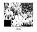 Fig. 43 - CONVERSION OF BORON NITRIDE INTO N-TYPE AND P-TYPE DOPED CUBIC BORON NITRIDE AND STRUCTURES