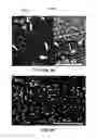 Fig. 44 - CONVERSION OF BORON NITRIDE INTO N-TYPE AND P-TYPE DOPED CUBIC BORON NITRIDE AND STRUCTURES