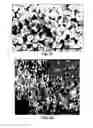 Fig. 45 - CONVERSION OF BORON NITRIDE INTO N-TYPE AND P-TYPE DOPED CUBIC BORON NITRIDE AND STRUCTURES