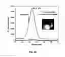 Fig. 49 - CONVERSION OF BORON NITRIDE INTO N-TYPE AND P-TYPE DOPED CUBIC BORON NITRIDE AND STRUCTURES