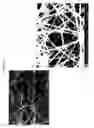 Fig. 03 - Electrospun cationic nanofibers and methods of making and using the same