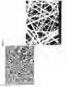 Fig. 04 - Electrospun cationic nanofibers and methods of making and using the same
