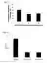 Fig. 14 - Electrospun cationic nanofibers and methods of making and using the same