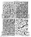Fig. 15 - Electrospun cationic nanofibers and methods of making and using the same