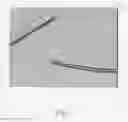Fig. 04 - PROCESS FOR IMPROVING THE CHEMICAL AND/OR PHYSICAL PROPERTIES OF HOLLOW-STRUCTURE NATURAL FIBERS
