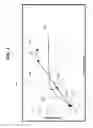 Fig. 05 - Separated treatment of paper substrate with multivalent metal salts and OBAs