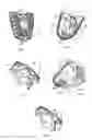 Fig. 03 - Handle unit