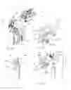 Fig. 12 - Spacer formation cell