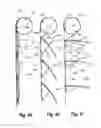 Fig. 17 - Retractable shade with collapsible vanes