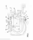 Fig. 03 - Constant fresh air crankcase ventilation