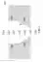 Fig. 03 - Converging liquid reductant injector nozzle in selective catalytic reduction systems