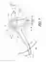 Fig. 08 - Bicycle operating device