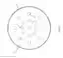 Fig. 06 - Lampshade And Luminaire Using same