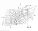 Fig. 01 - Light guiding body and vehicle lighting fixture using same