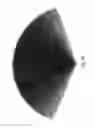 Fig. 35 - Lighting assembly