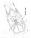 Fig. 07 - Combined high energy igniter and flame detector