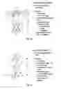 Fig. 04 - IMPROVEMENTS IN OR RELATING TO SONAR APPARATUS
