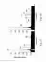 Fig. 06 - Harmonic feedback atomic force microscopy