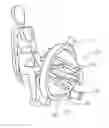 Fig. 01 - Transverse field MRI apparatus