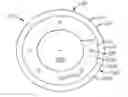 Fig. 01 - CONTACT LENSES FOR REFRACTIVE CORRECTION