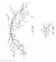 Fig. 09 - CONTACT LENSES FOR REFRACTIVE CORRECTION