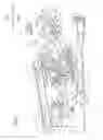 Fig. 04 - Vertical arrangement of components in an image forming apparatus