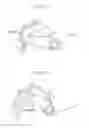 Fig. 16 - Developing device, process cartridge, and electrophotographic image forming apparatus