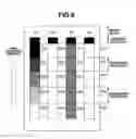 Fig. 07 - Image forming apparatus